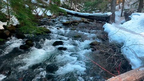 ICE & SNOW YAKTRAX HIKING 4K | Ascending Tamanawas Falls Trail in Mount Hood National Forest, Oregon