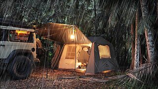 Relaxing SOLO CAMP in the RAINY JUNGLE [ Australian Rain Forest cosy vibes, new tent, ASMR ]