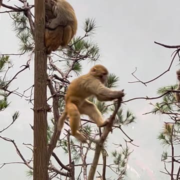 How to use the opponent's force to counter the opponent's force . . .