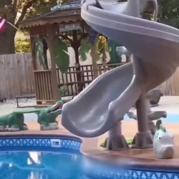 #گربه خنده دار #فیلم های خنده دار😂 #حیوانات خنده دار #حیوانات