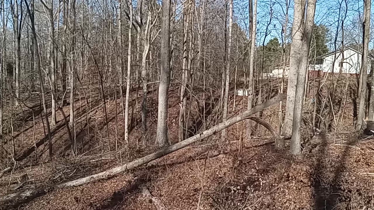 Chris Taking Down a Few More Monster Trees Just in Time for Christmas – Thanks Chris!