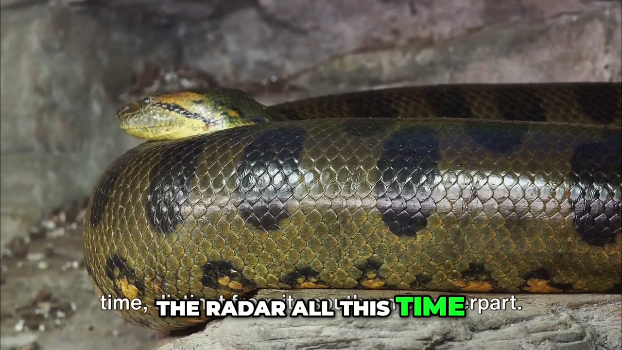 Slithering Secrets of the Green Anaconda Revealed