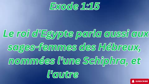 "L'esclavage des Israélites en Égypte et la naissance de la résistance" Exode 1:1-22#youtube #ytshor