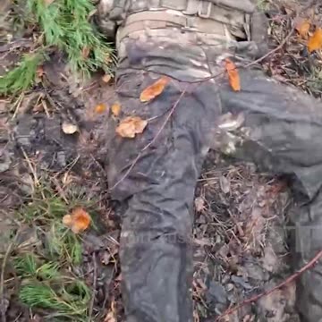 These things always come out so late, I hate it.