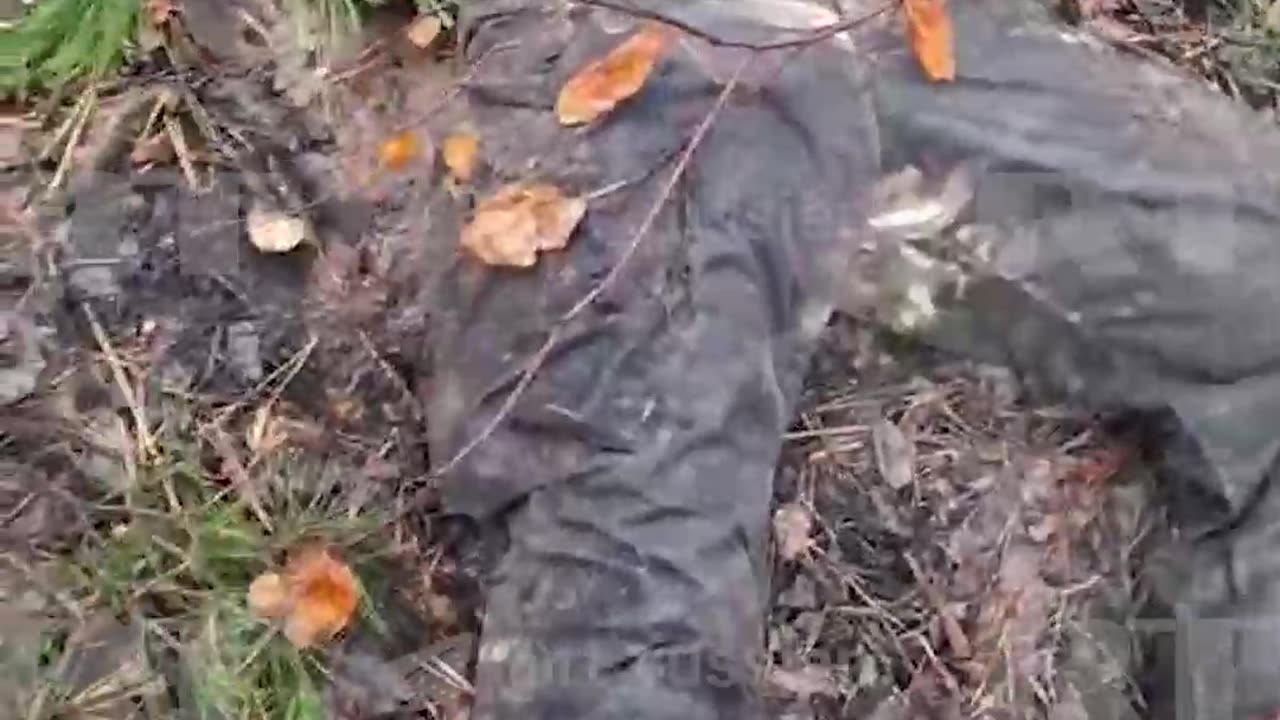 These things always come out so late, I hate it.