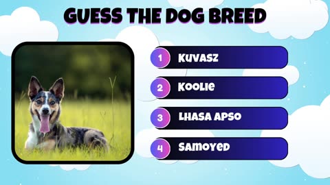 Can you guess the dog breed?