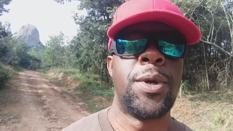 To Eat or Not to Eat.