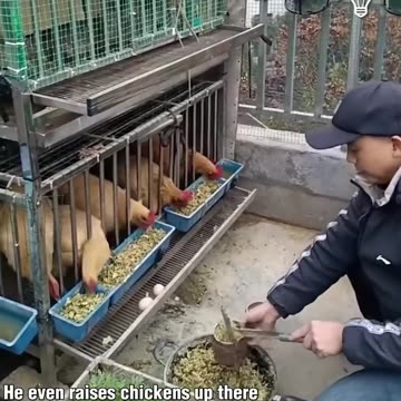 Look at this guy growing a garden on the roof of his building!.hd