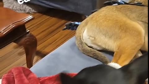 They no longer hate each other