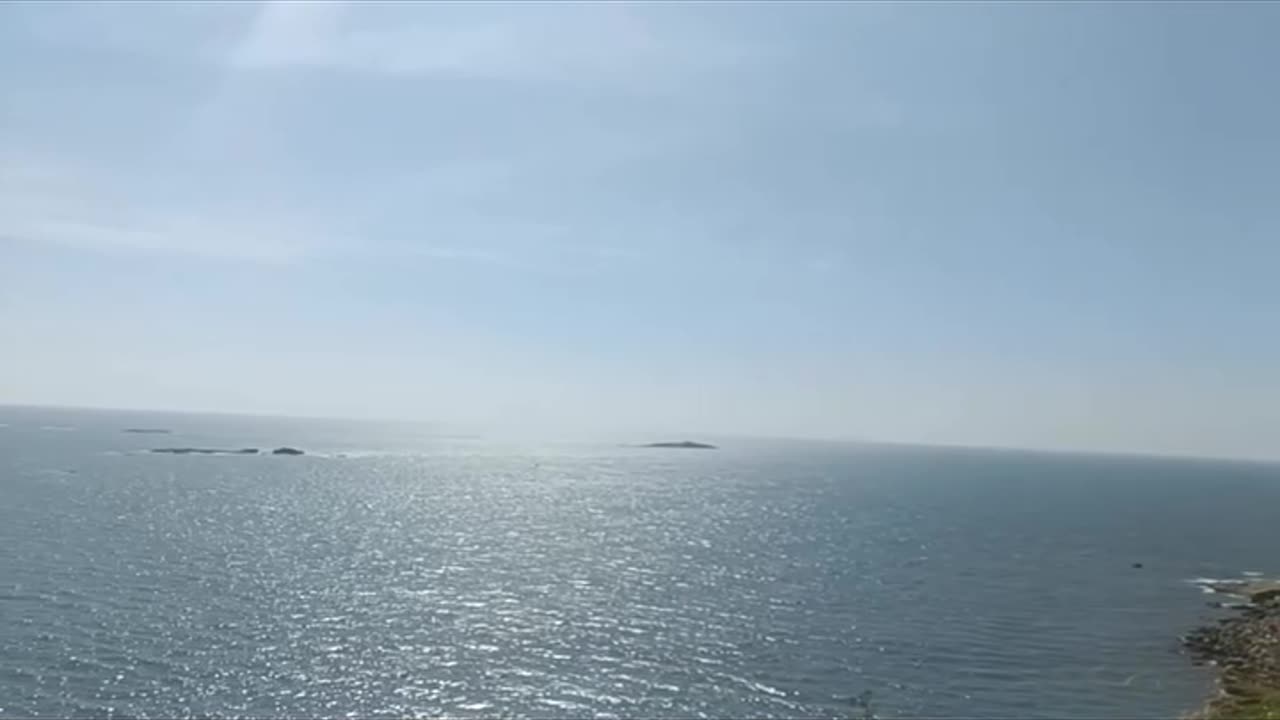 "Harnessing the Beauty of the Sea for a Positive Life"