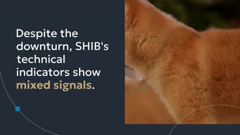 Shiba Inu (SHIB) Shows Mixed Signals Amid 30% Monthly Decline