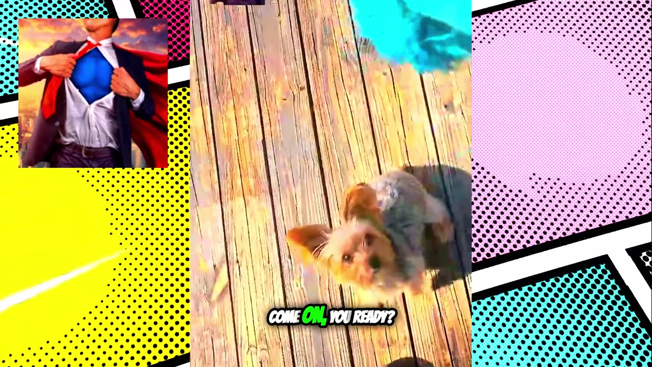 Fetch? More Like Fight!!! My Yorkie’s Hilarious Rope Drama