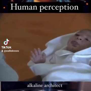 Human perception