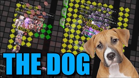 ROYAL IMPERIUM GUILD - THE DOG | SHINOBI LOCKSTEP