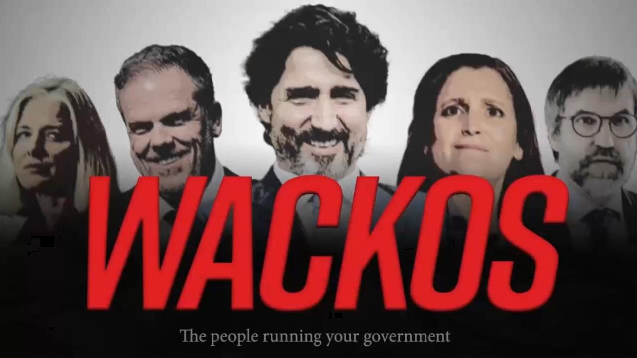 WACKOS: the weird, wild, woke & wonderful world of the people running our country