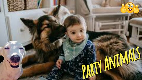 Babies and Pets Having Fun Together | Cute Animals | funny Videos