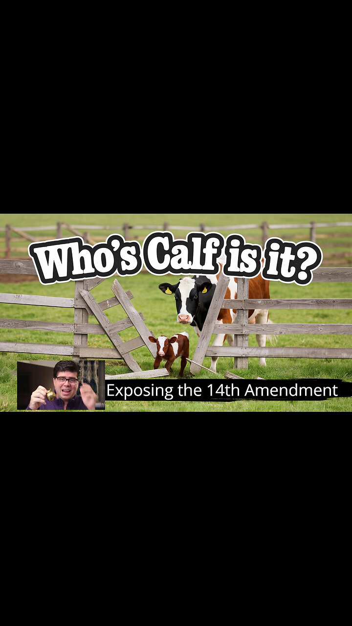 Exposing the 14th Amendment – Why Trump Must Win This Fight