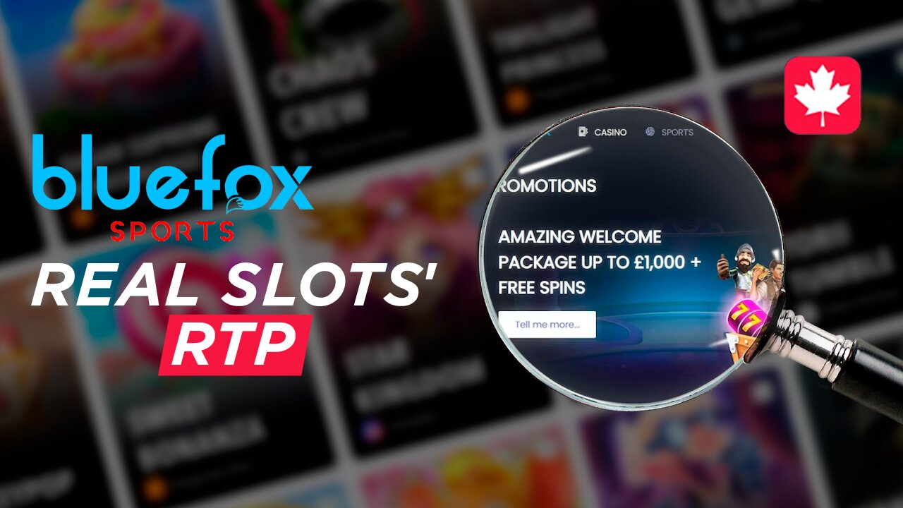 Real RTP and BlueFox Casino's Review