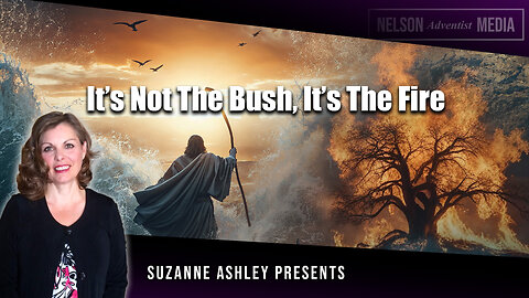 It's Not The Bush, It's The Fire | Suzanne Ashley