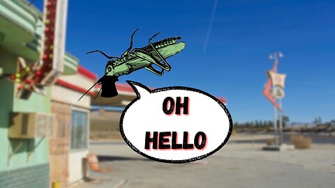 AGH!!!!