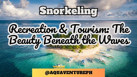 Snorkeling, Recreation & Tourism: The Beauty Beneath the Waves