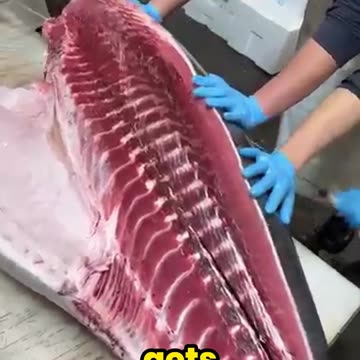 Why Is Tuna Meat So Dark? The Truth Will Shock You!