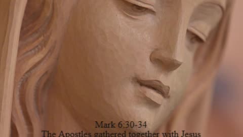 A reading from the Gospel according to Mark, 6:30-34