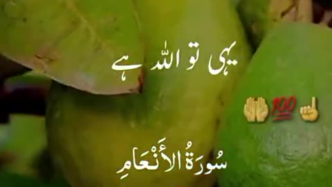 Beshak 💯♥️✨🕊️