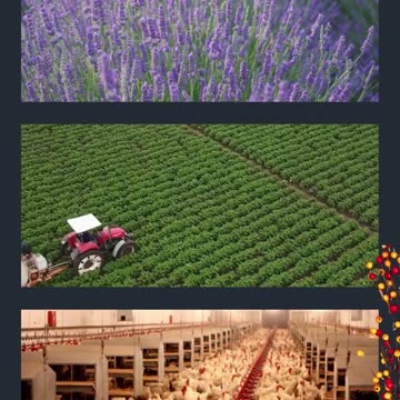 Escape the Ordinary: Why Land Ownership is the New Vibe