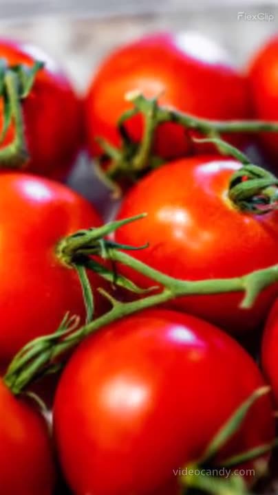 Tamaatar Sehatamand Jeevan Ka Raaj