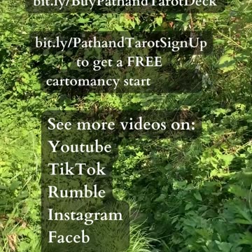 Intuition Is Boundless Potential | Path and Tarot Reading