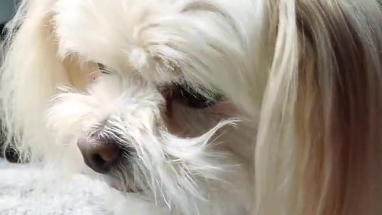 cute