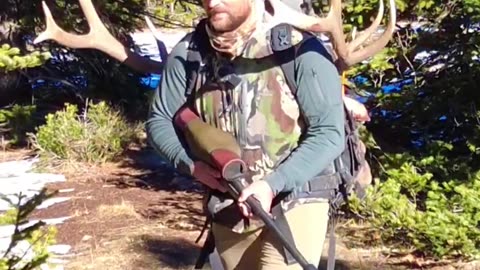 Wyoming Elk Hunting Tips