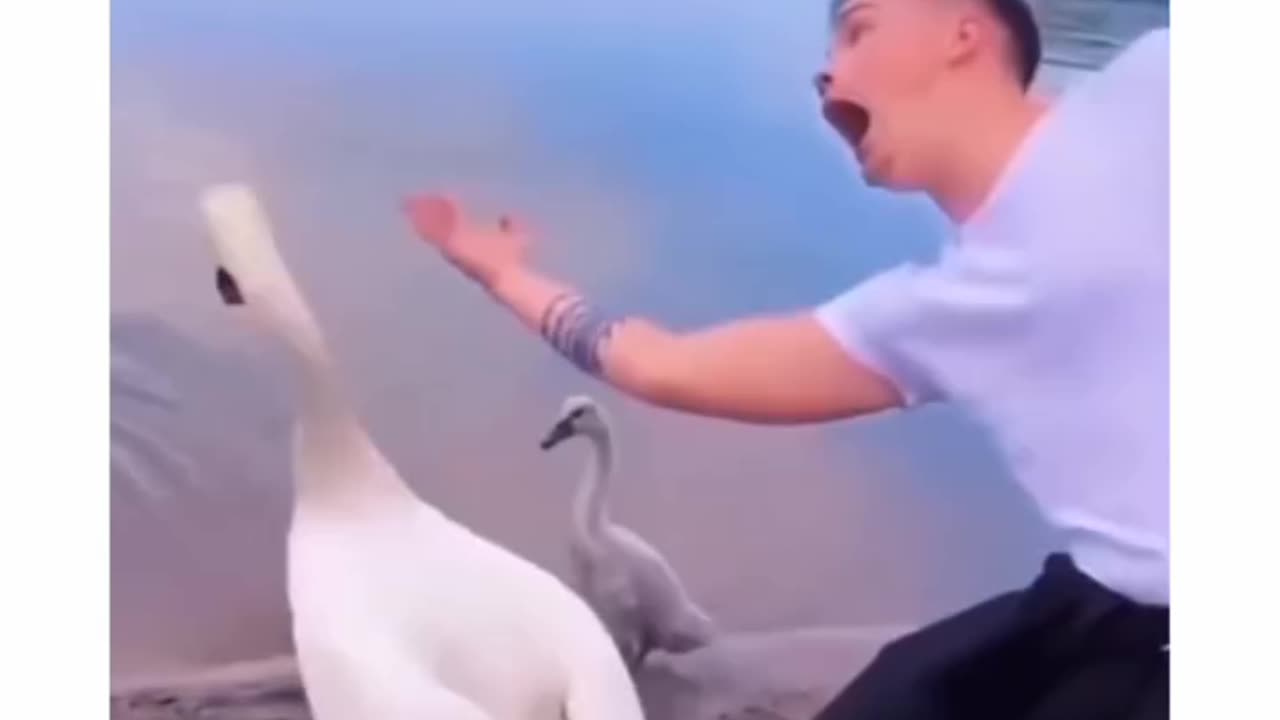 😂