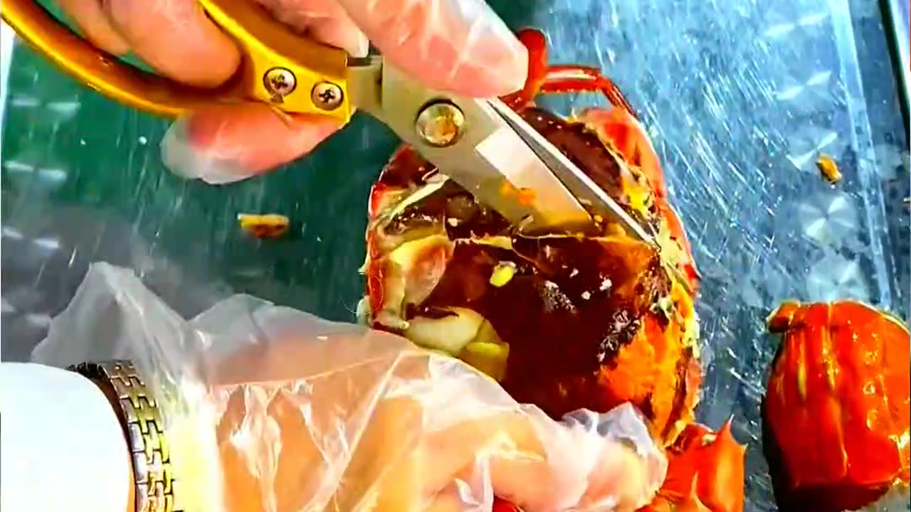 One Crab, One World 🦀 Every Bite Tells a Story!