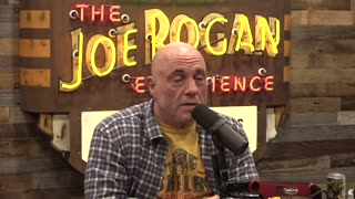 Joe Rogan Experience #2282 - Bill Murray