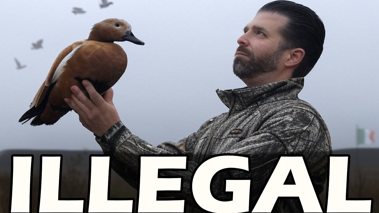 Donald Trump Jr.’s Illegal Hunting Scandal in Italy – Rare Ducks & EU Laws Explained!