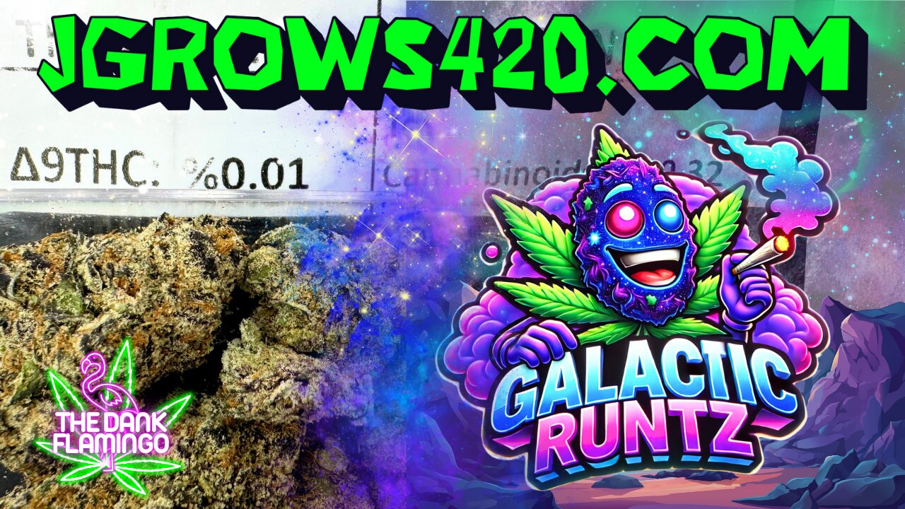 Trying Galactic Runtz THCa from JGrows420! The Dank Flamingo Cannabis Review!!