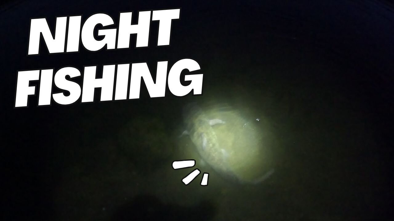 Springtime | Catfish Fishing | Lake Skinner | Fishing Report