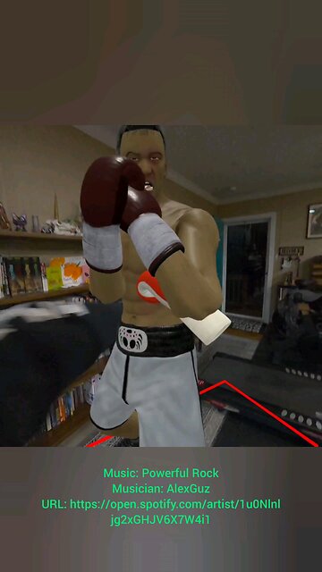VR Boxing