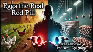 Eggs the Real Red Pill - Epi-3629