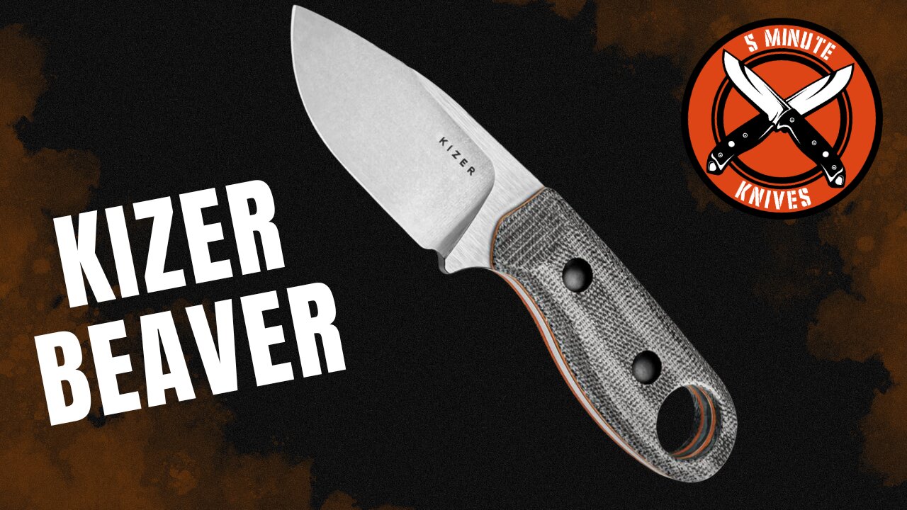 Kizer Beaver - Baby Carrot Bushcrafting 🥕#ASMR