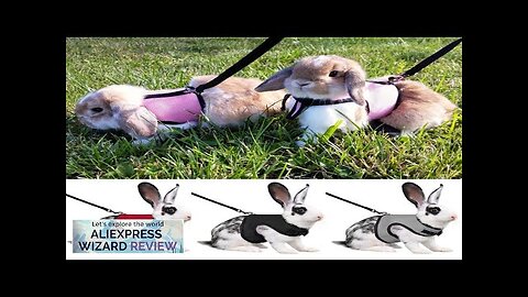 Solid Adjustable Pet Harness and Leash for Rabbit Bunny Cat Ferrets Outdoor Review