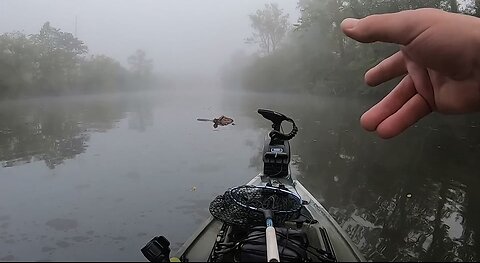 Fishermen finds a dead body in river !