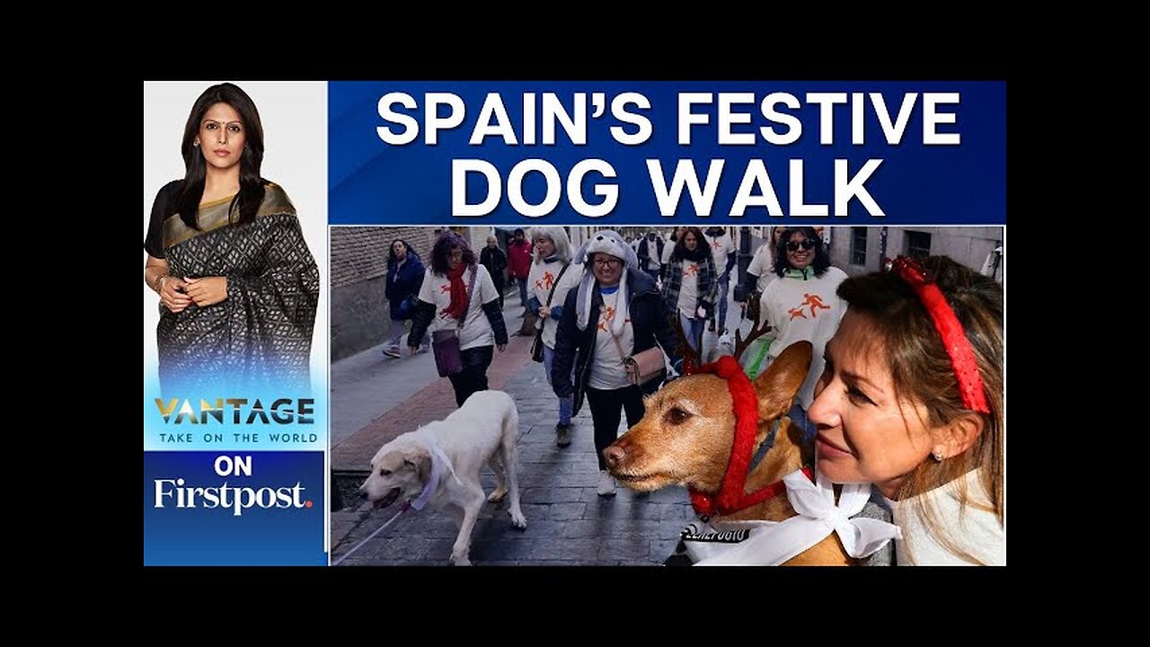 Hundreds Take part in Spain's Dog Walk Against Animal Abandonment | Vantage with Palki Sharma