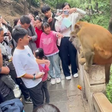 monkey Funny🐒😜"