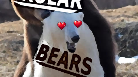 GROLAR BEARS