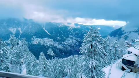 Nathia Gali @Elite Hotel 🏨|View From