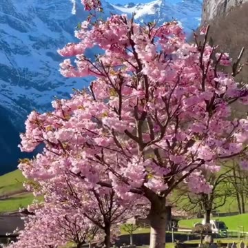 ♥️ Beautiful dream paradise Switzerland