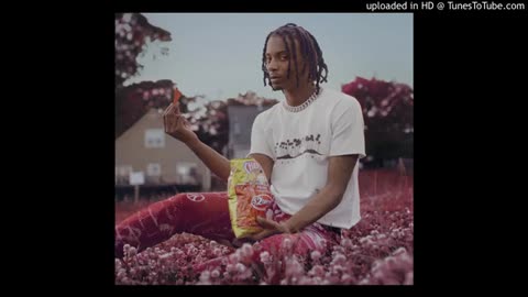 playboi carti - Whole Lotta GEMININE9 (Official Leak)